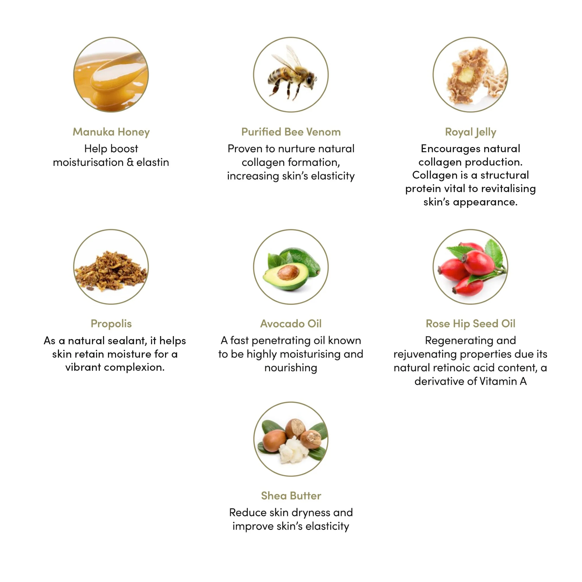 Night Cream - Image 6